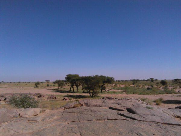 Neokoloniale Strukturen in der Westsahara im Kontext der deutschen Entwicklungszusammenarbeit